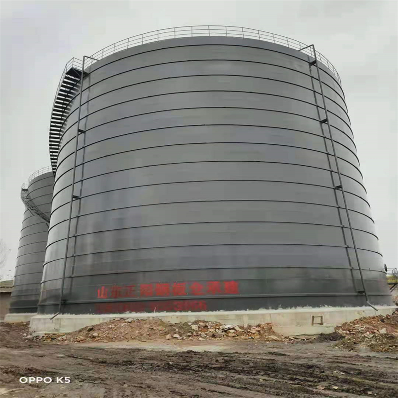 乾安3万吨大型钢板库